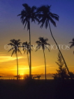 ANTIGUA, West Coast, sunset with coconut trees in silhouette, ANT733JPL
