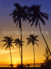 ANTIGUA, West Coast, sunset with coconut trees in silhouette, ANT734JPL
