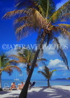 ANTIGUA, West coast, beach scene with tourists and coconut trees, ANT999JPL