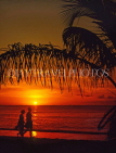 ANTIGUA, sunset and coconut tree, couple along beach, ANT726JPL