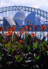 AUSTRALIA, New South Wales, SYDNEY, Opera House and Sydney Harbour Bridge, Canna flowers, AUS606JPL