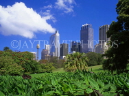 AUSTRALIA, New South Wales, SYDNEY, Royal Botanical Gardens and city skyline, AUS124JPL
