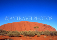AUSTRALIA, Northern Territory, AYERS ROCK (Uluru), Uluru-Kata Tjuta National Park, AUS214JPL