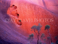AUSTRALIA, Northern Territory, AYERS ROCK (Uluru), detail of rock, arkose (sandstone), AUS276JPL