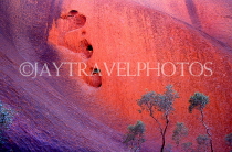 AUSTRALIA, Northern Territory, AYERS ROCK (Uluru), detail of rock, arkose (sandstone), AUS360JPL