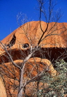 AUSTRALIA, Northern Territory, AYERS ROCK (Uluru) section, Uluru-Kata Tjuta Nat Park, AUS352JPL