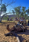 AUSTRALIA, Northern Territory, Alice Springs, tourists on camel ride, AUS414JPL