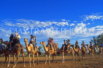 AUSTRALIA, Northern Territory, Alice Springs, visitors on a camel ride, AUS417JPL