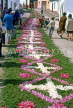 AZORES, Sao Miguel Island, Furnas, Flower Carpet Festival, floral street, AZ468JPL