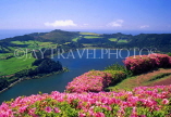 AZORES, Sao Miguel Island, Lake Furnas and Azalea flowers, AZ282JPL