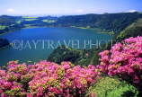 AZORES, Sao Miguel Island, Lake Furnas and Azalea flowers, AZ366JPL