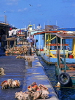 BAHAMAS, New Providence Island, Nassau, Potter's Cay, fishing boats and shellfish, BAH341JPL