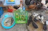 BAHRAIN, Isa Town Market (souk), flea market, bird market, BHR467JPL