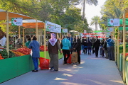 BAHRAIN, Noor El Ain, Garden Bazaar, Farmers Market, BHR1787JPL
