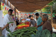 BAHRAIN, Noor El Ain, Garden Bazaar, Farmers Market, BHR1860JPL