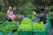 BAHRAIN, Noor El Ain, Garden Bazaar, Farmers Market, BHR2044JPL