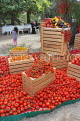 BAHRAIN, Noor El Ain, Garden Bazaar, Farmers Market, Tomato stall display, BHR1875JPL