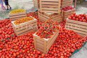 BAHRAIN, Noor El Ain, Garden Bazaar, Farmers Market, Tomato stall display, BHR1876JPL