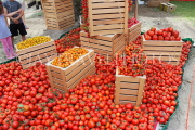 BAHRAIN, Noor El Ain, Garden Bazaar, Farmers Market, Tomato stall display, BHR1877JPL