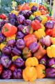 BAHRAIN, Noor El Ain, Garden Bazaar, Farmers Market, colourful peppers, BHR1256JPL