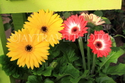 BAHRAIN, Noor El Ain, Garden Bazaar, Farmers Market, flower stalls, BHR2051JPL