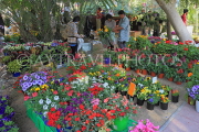 BAHRAIN, Noor El Ain, Garden Bazaar, Farmers Market, flowers for sale, BHR1168JPL