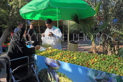 BAHRAIN, Noor El Ain, Garden Bazaar, Farmers Market, fruit stall and shopper, BHR1186JPL