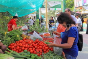BAHRAIN, Noor El Ain, Garden Bazaar, Farmers Market, shopper at vegetable stall, BHR1252JPL