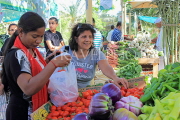 BAHRAIN, Noor El Ain, Garden Bazaar, Farmers Market, shoppers at vegetable stall, BHR1245JPL