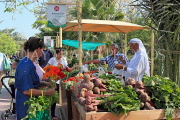 BAHRAIN, Noor El Ain, Garden Bazaar, Farmers Market, shoppers at vegetable stall, BHR1251JPL