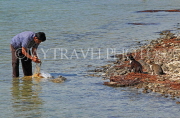 BAHRAIN, coast by Al Jasra, fisherman sorting out a fish to feed waiting cats, BHR1393JPL
