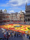Belgium, BRUSSELS, Grand Place, Flower Carpet Festival, BRS15JPL