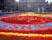 Belgium, BRUSSELS, Grand Place, Flower Carpet Festival, square covered in flowers, BRS17JPL