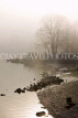 CANADA, British Columbia, Port Moody, Rocky Point Park, morning fog rising over lake, CAN823JPL