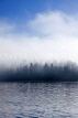 CANADA, British Columbia, Port Moody, Rocky Point Park, morning fog rising over lake, CAN824JPL