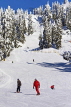 CANADA, British Columbia, VANCOUVER (North), Mount Seymour Provincial Park, skiers, CAN804JPL