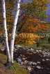 CANADA, Quebec, St Marguerite du Lac, stream and Autumn foliage, CAN499JPL