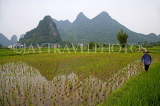 CHINA, Guangxi Province, Guilin, rice (paddy) fields and limestone hills, CH1492JPL