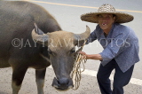 CHINA, Guangxi Province, Guilin, smiling old woman and her water buffalo, CH1493JPL