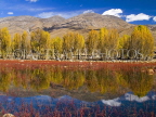 CHINA, Sichuan Province, Daocheng, Yading, Tibetan landscape, autumn scenery, CH1483JPL