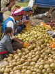 CHINA, Yunnan Province, Dali, fruit market, CH1512JPL