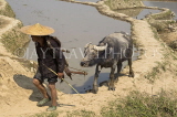 CHINA, Yunnan Province, Yuanyang, Hani (Akha) farmer and his water buffalo, CH1647JPL