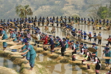 CHINA, Yunnan Province, Yuanyang, Hani (Akha) women sifting rice, during a festival, CH1627JPL