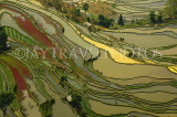 CHINA, Yunnan Province, Yuanyang, Tiger Mouth rice terraces, CH1640JPL