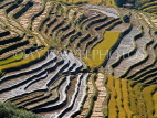 CHINA, Yunnan Province, Yuanyang, autumn rice terraces, CH1472JPL2