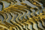 CHINA, Yunnan Province, Yuanyang, rice terraces, CH1641JPL