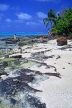 COOK ISLANDS, Aitutaki Islands, Moturakau Island, CI139JPL