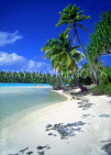COOK ISLANDS, Aitutaki Islands, Tapuaetai (One Foot Island), beach and coconut trees, CI849JPL