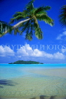 COOK ISLANDS, Aitutaki Islands, seascape and coconut tree, CI102JPL