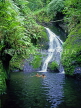 COOK ISLANDS, Rarotonga, Wigmores falls, and tourists swimming, CI703JPL
